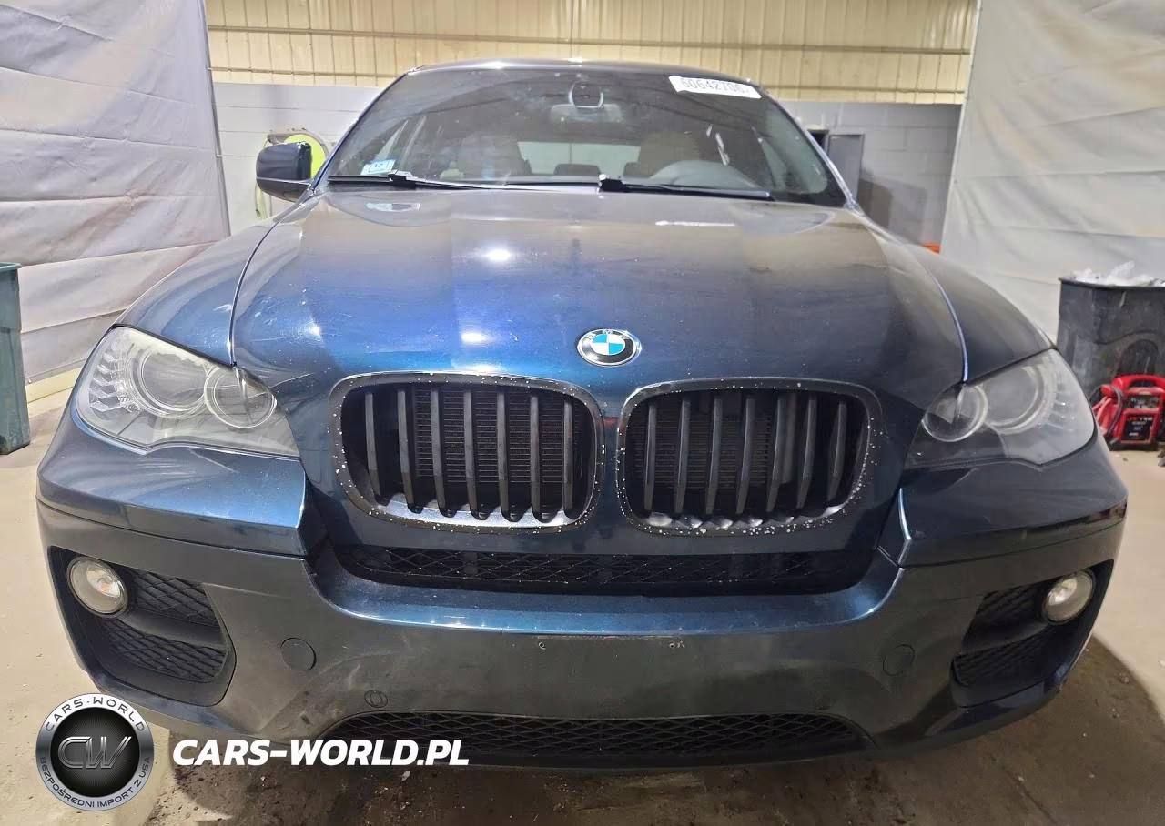 2013 BMW X6 xDrive35I VIN:5UXFG2C55DL786695 - 5