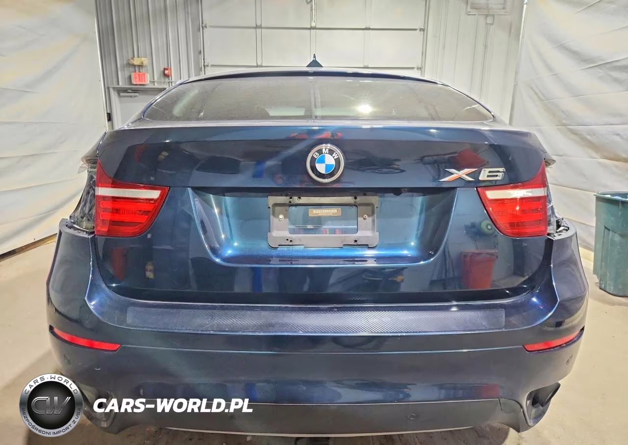 2013 BMW X6 xDrive35I VIN:5UXFG2C55DL786695 - 6