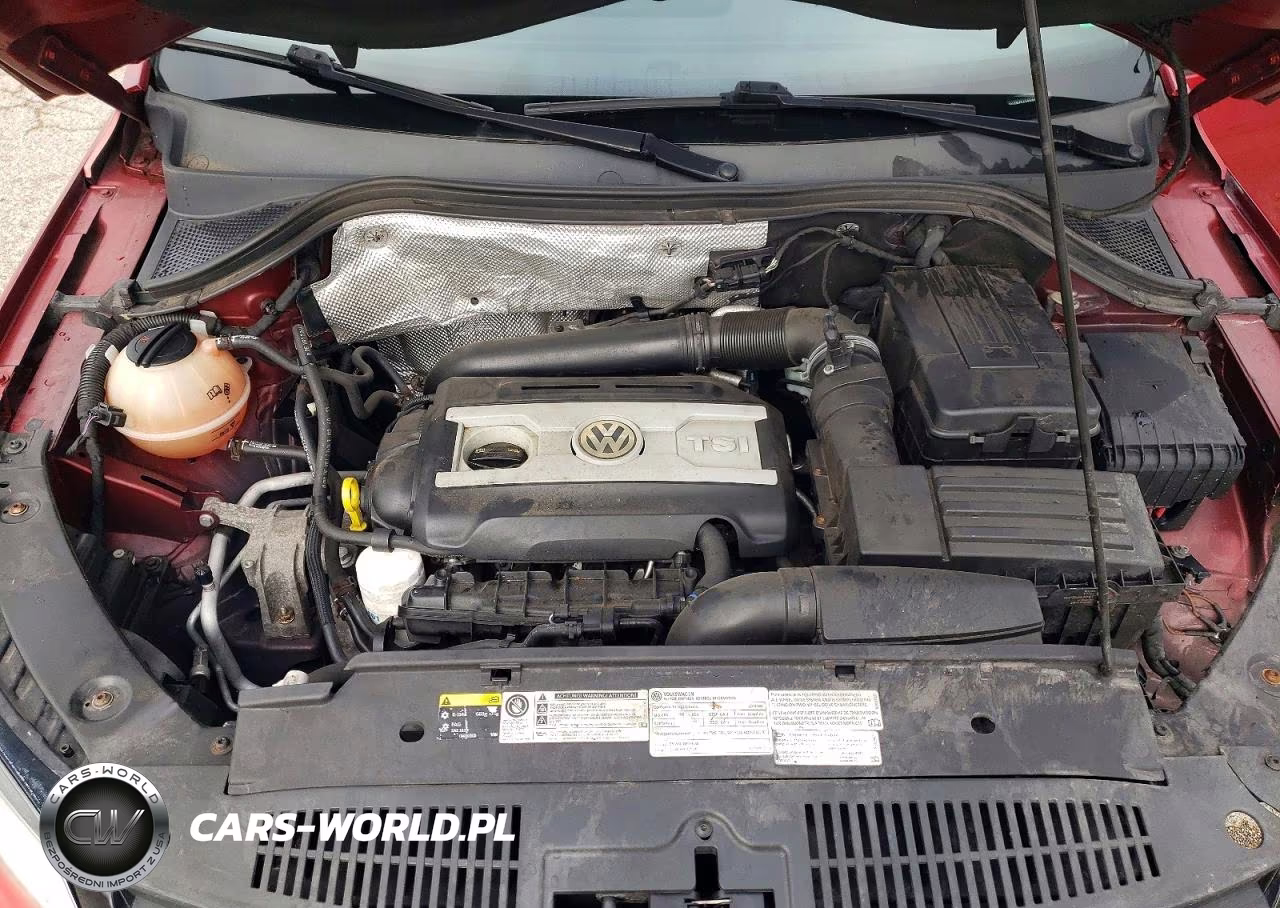 2014 Volkswagen Tiguan S VIN:WVGBV3AX6EW066074 - 12