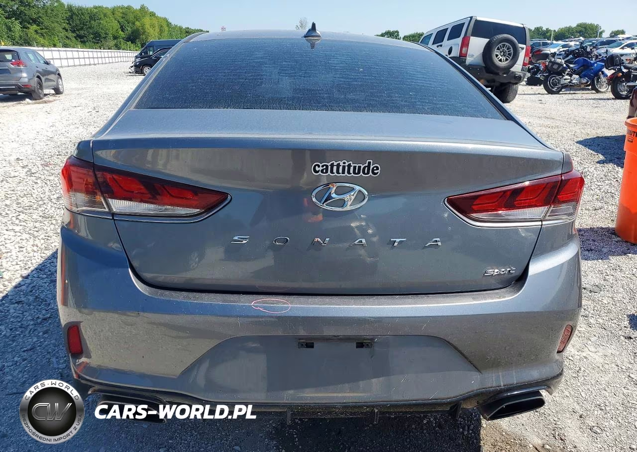 2019 Hyundai Sonata Sport VIN:5NPE34AF6KH765971 - 6