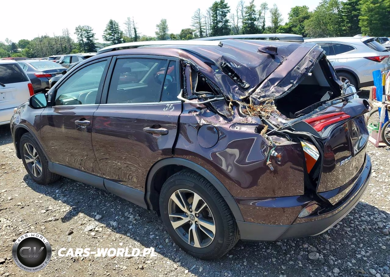 2017 Toyota Rav4 Xle VIN:2T3RFREVXHW668944 - 2