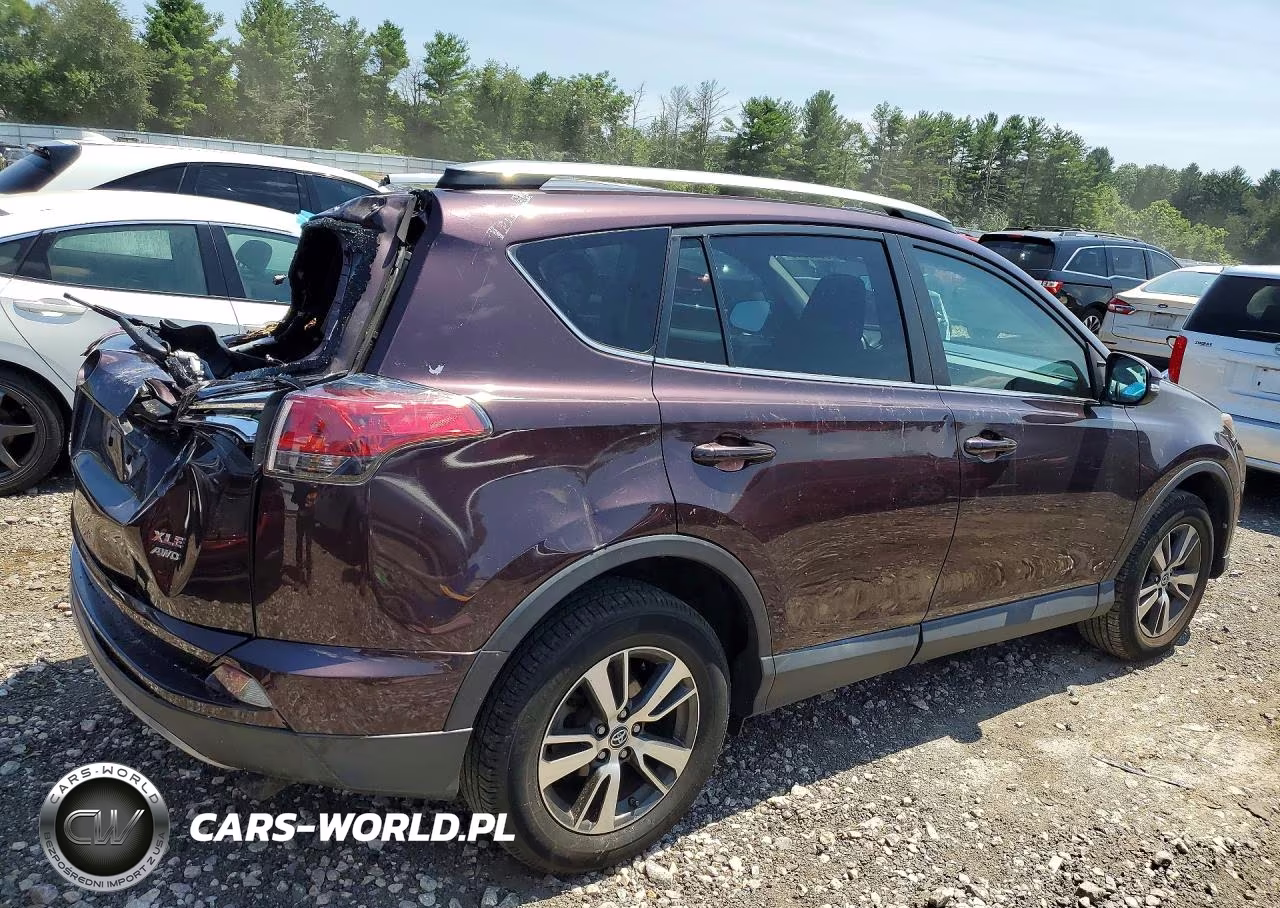 2017 Toyota Rav4 Xle VIN:2T3RFREVXHW668944 - 3