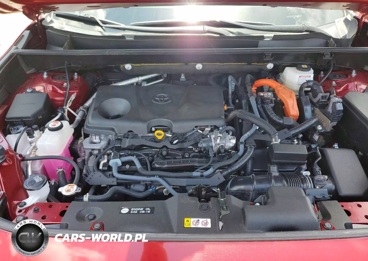 2023 Toyota Rav4 Le VIN:JTMLWRFV3PD193038 - 12