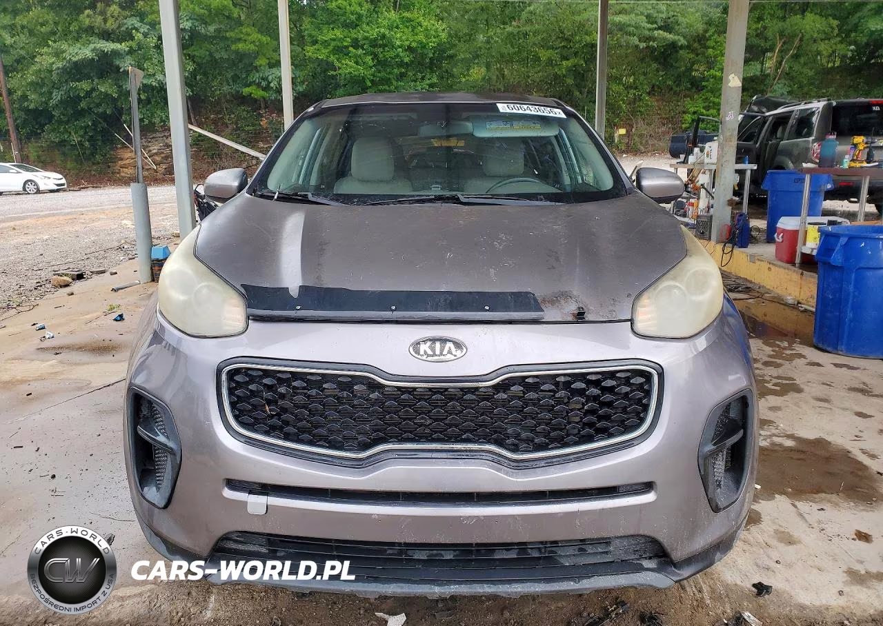 2017 Kia Sportage Lx VIN:KNDPM3AC0H7083168 - 5