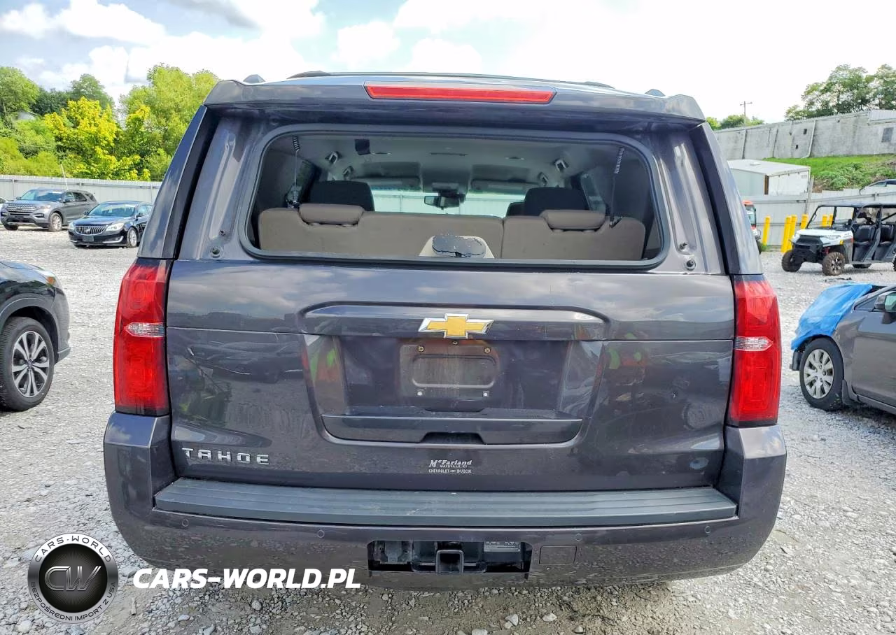 2017 Chevrolet Tahoe K1500 Ls VIN:1GNSKAKC2HR383342 - 6