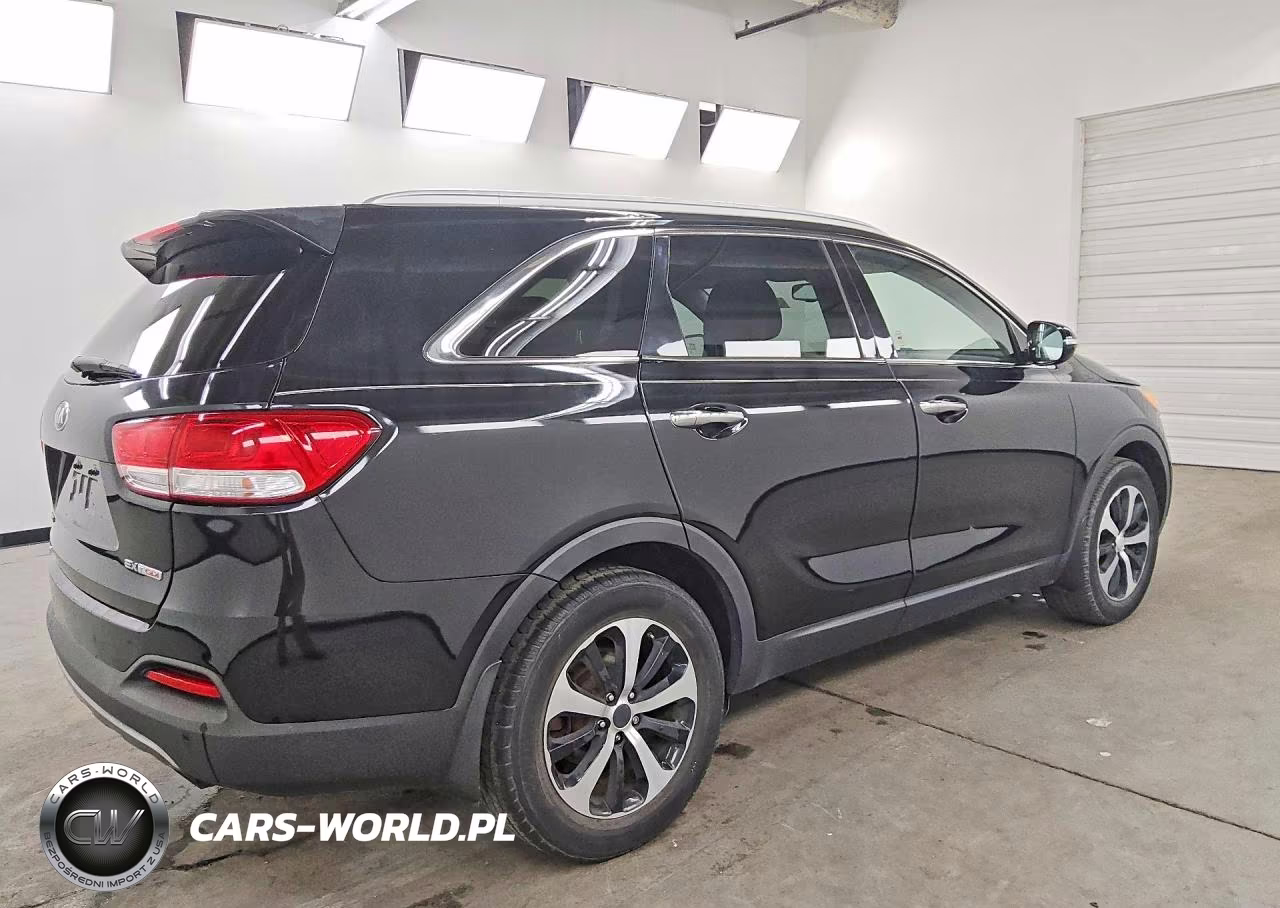 2016 Kia Sorento Ex VIN:5XYPH4A17GG019039 - 3