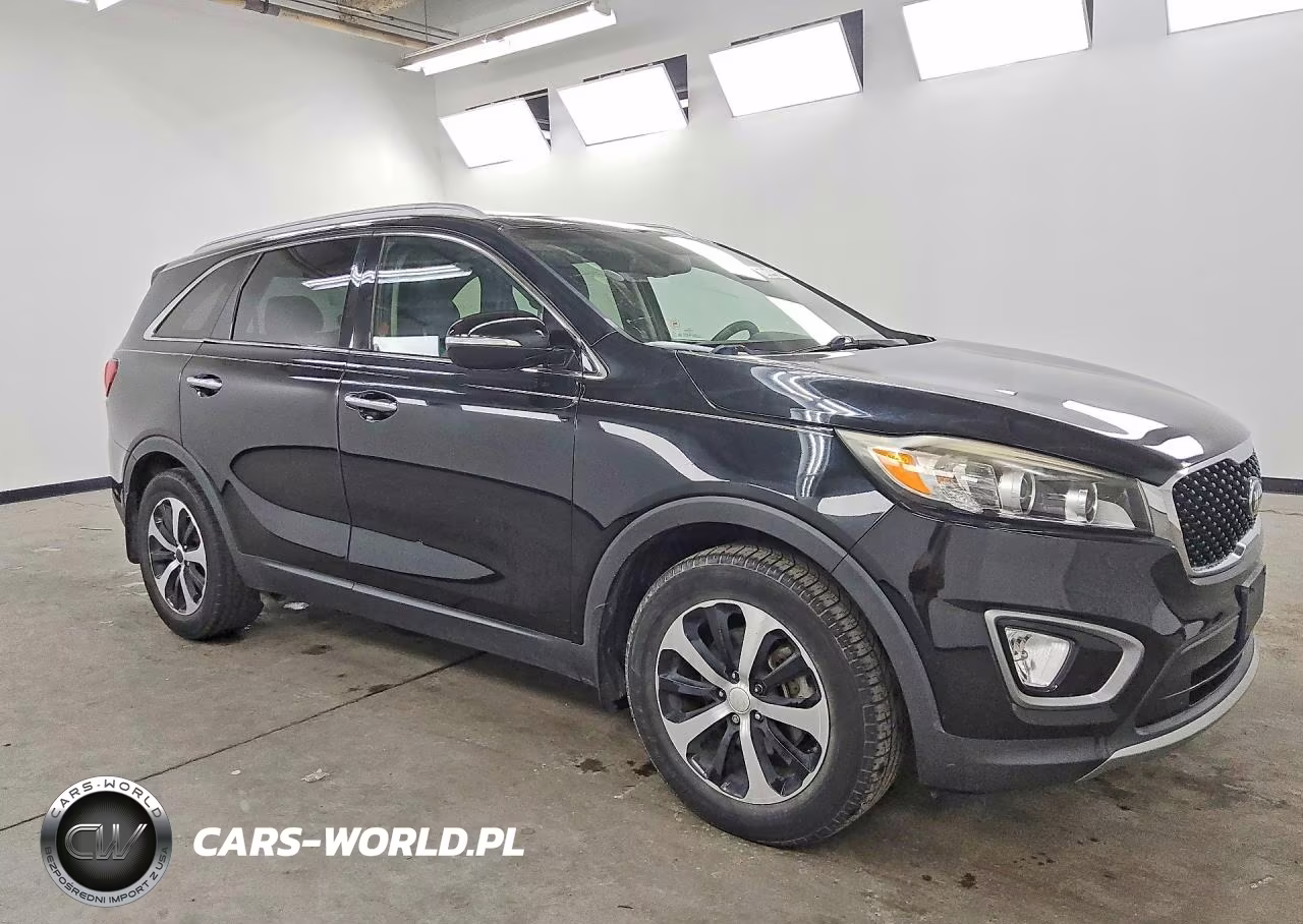 2016 Kia Sorento Ex VIN:5XYPH4A17GG019039 - 4