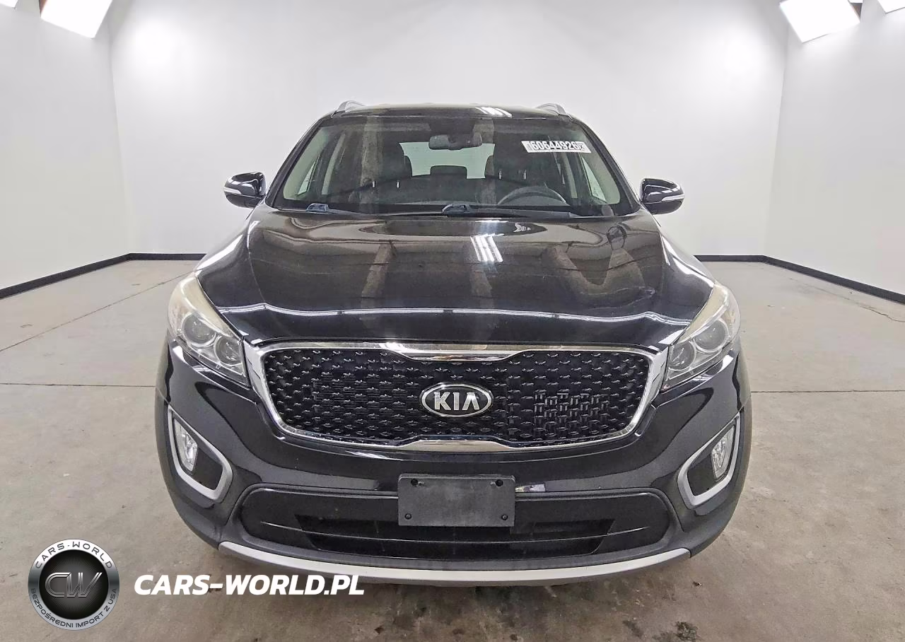 2016 Kia Sorento Ex VIN:5XYPH4A17GG019039 - 5