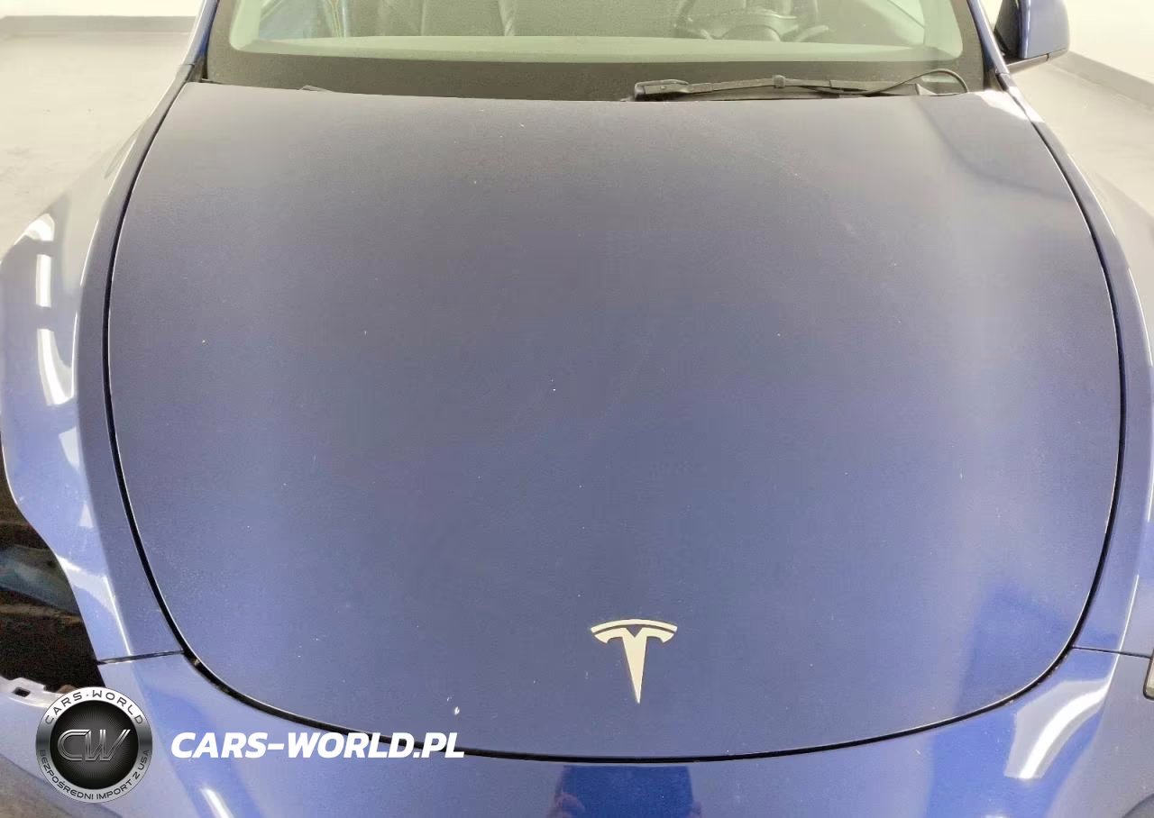 2022 Tesla Model Y VIN:7SAYGDEE3NF481237 - 12