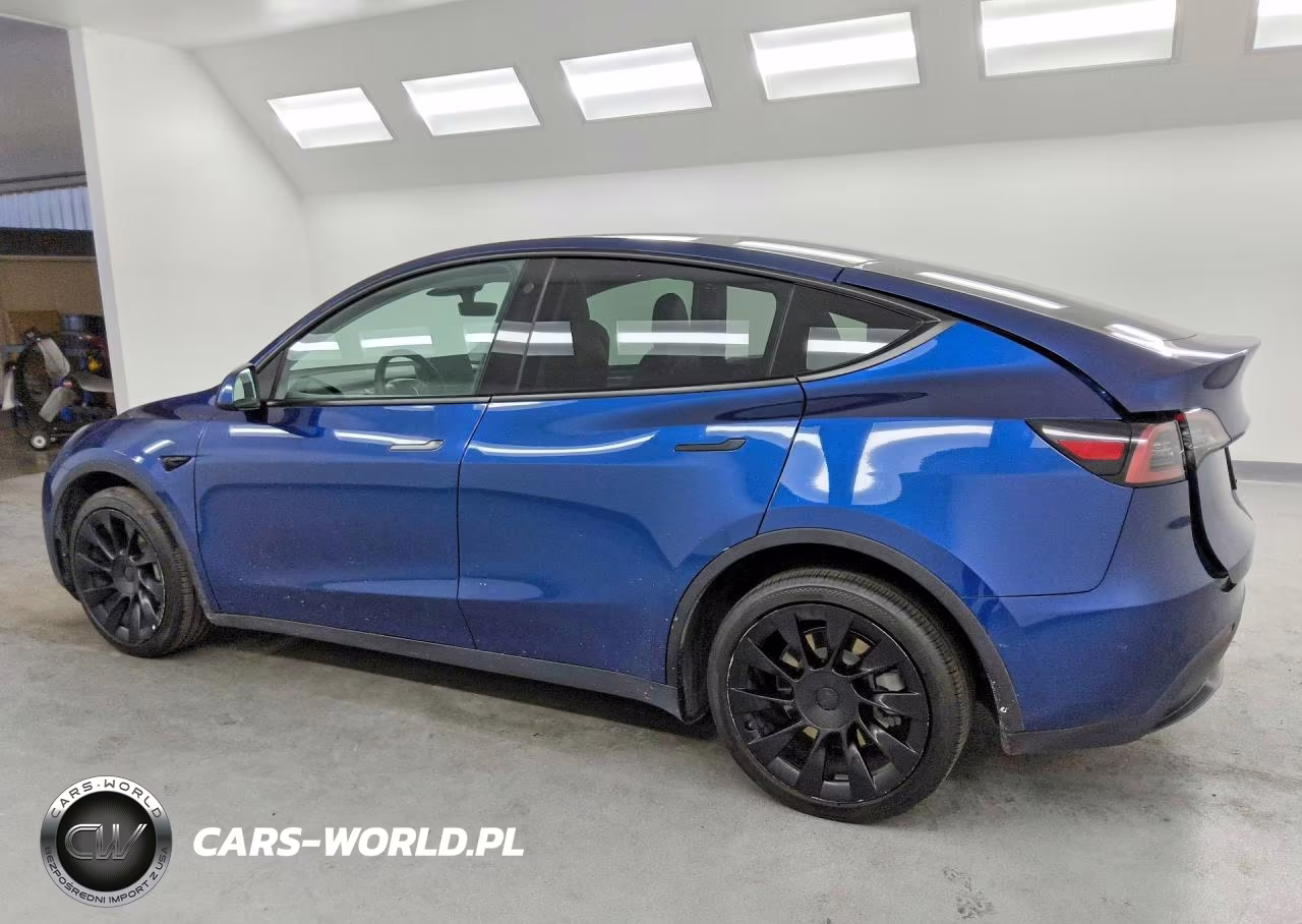 2022 Tesla Model Y VIN:7SAYGDEE3NF481237 - 2