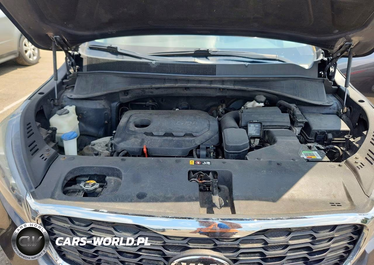 2019 Kia Sorento Lx VIN:5XYPGDA34KG506275 - 12