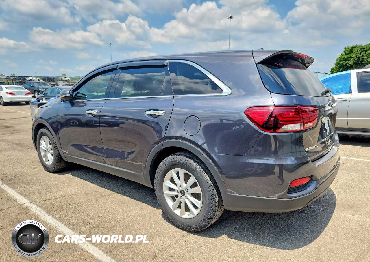 2019 Kia Sorento Lx VIN:5XYPGDA34KG506275 - 2