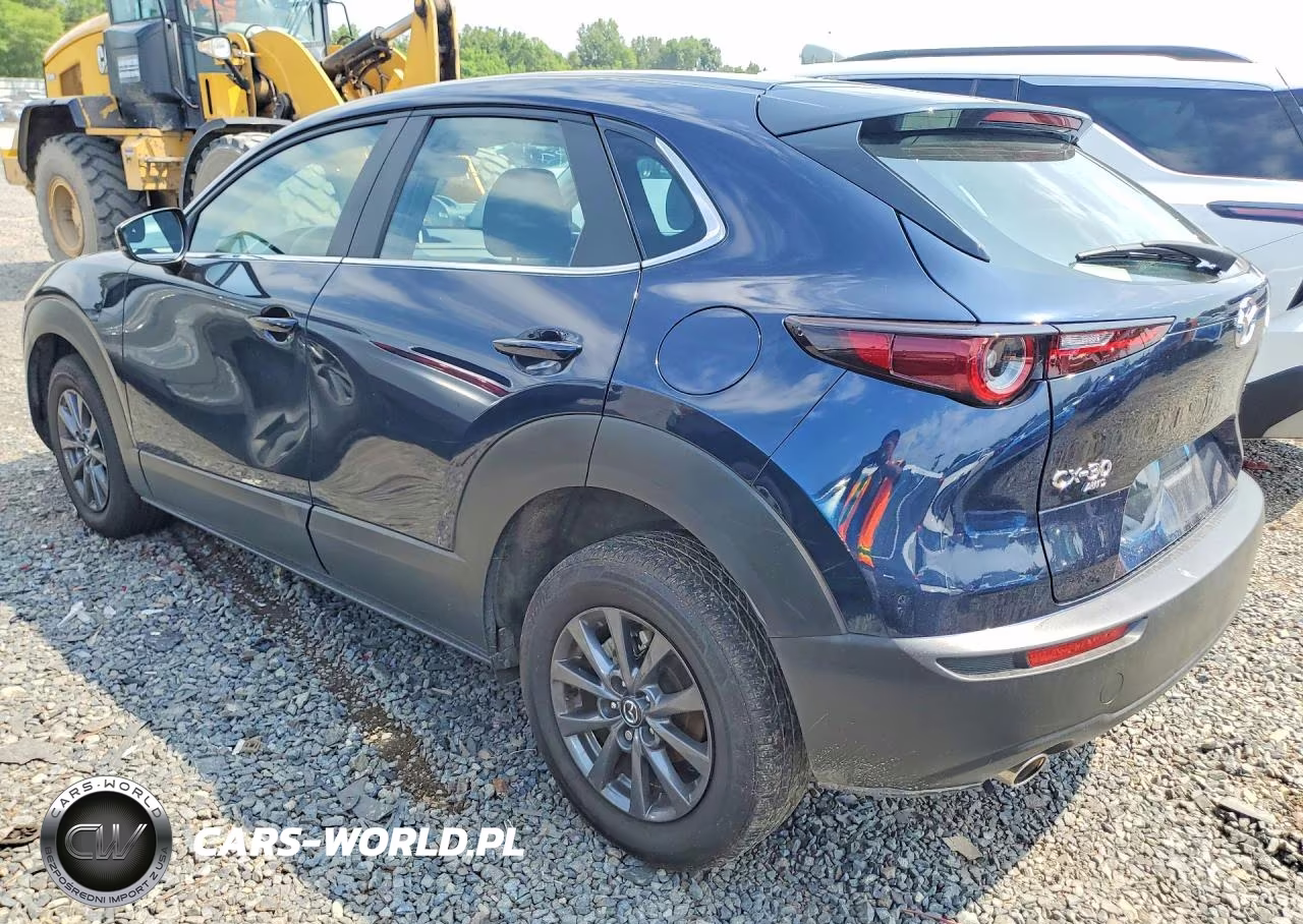 2025 Mazda Cx-30 VIN:3MVDMBAM1SM820993 - 2