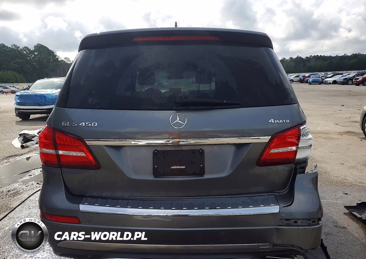 2019 Mercedes-Benz Gls 450 4Matic VIN:4JGDF6EE5KB191098 - 6