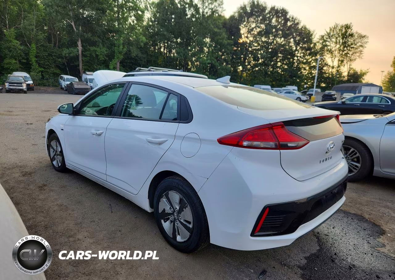 2017 Hyundai Ioniq Blue VIN:KMHC65LCXHU031450 - 2