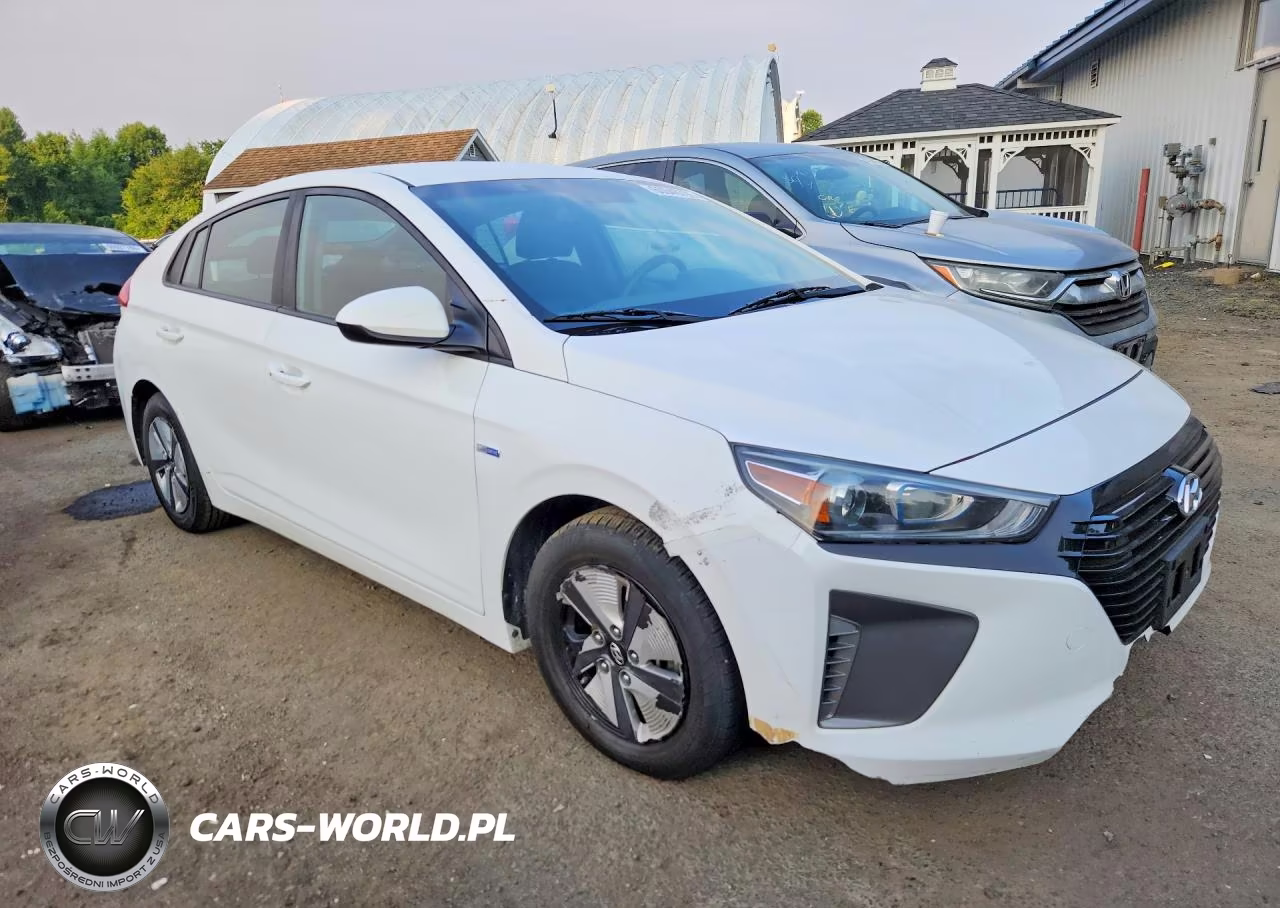 2017 Hyundai Ioniq Blue VIN:KMHC65LCXHU031450 - 4