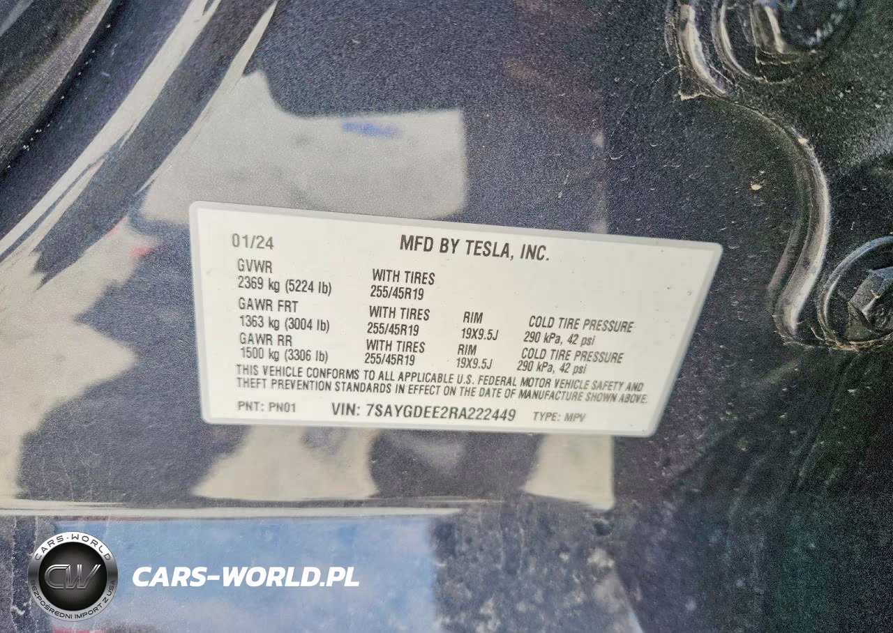 2024 Tesla Model Y VIN:7SAYGDEE2RA222449 - 12