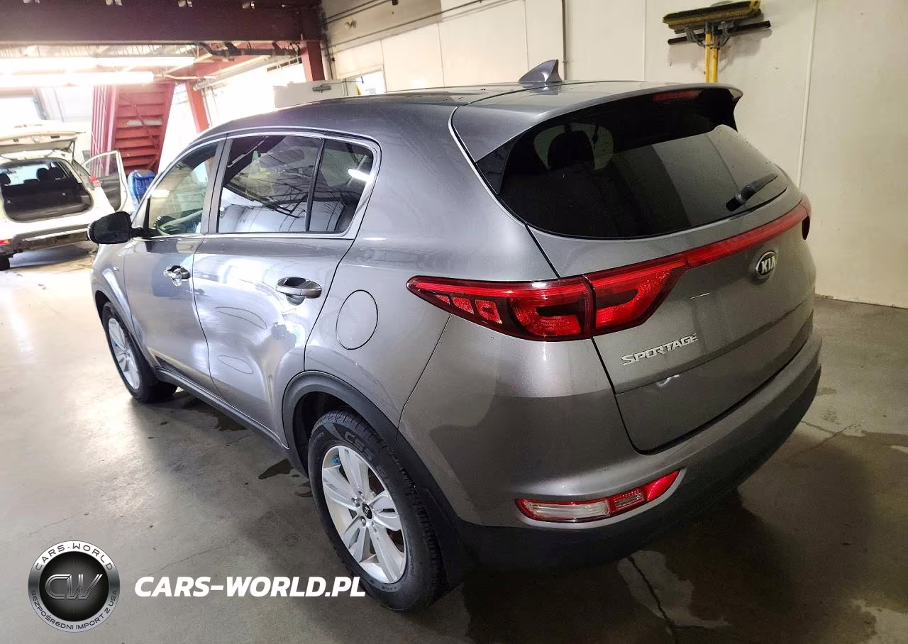 2019 Kia Sportage Lx VIN:KNDPMCAC6K7513423 - 2