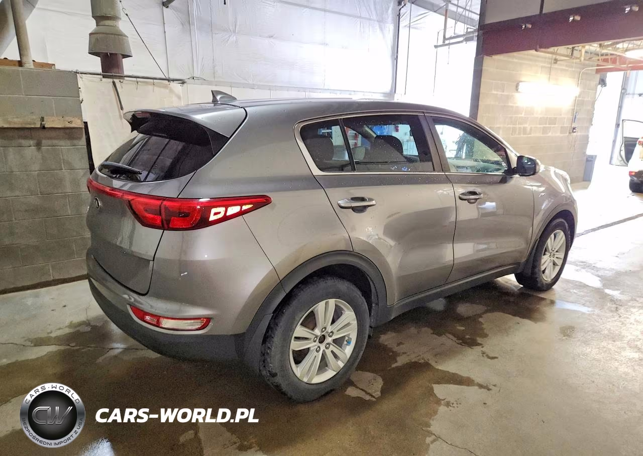2019 Kia Sportage Lx VIN:KNDPMCAC6K7513423 - 3