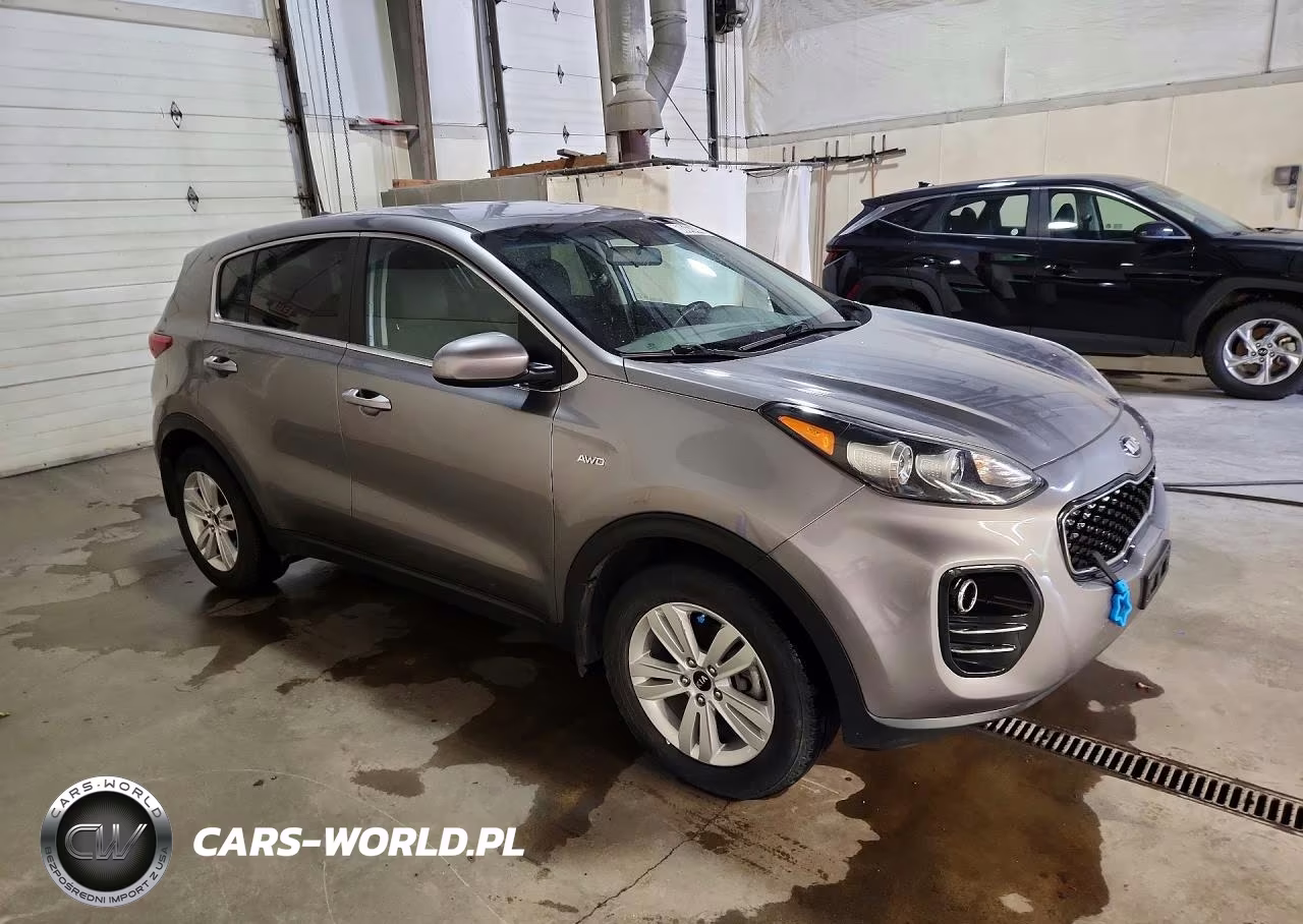2019 Kia Sportage Lx VIN:KNDPMCAC6K7513423 - 4