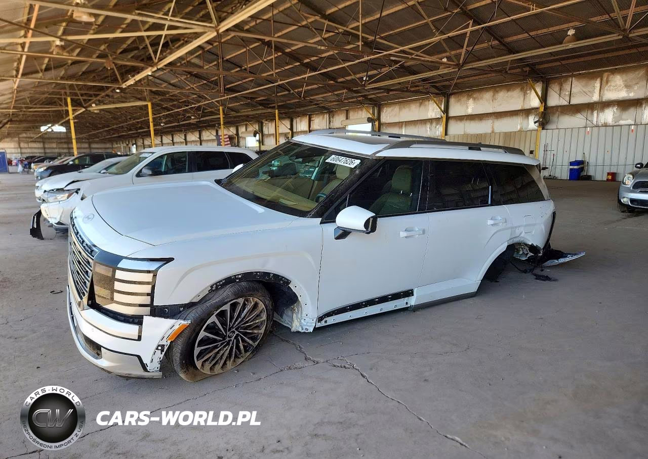 2026 Hyundai Palisade Calligraphy VIN:KM8RMES24TU054238 - 1