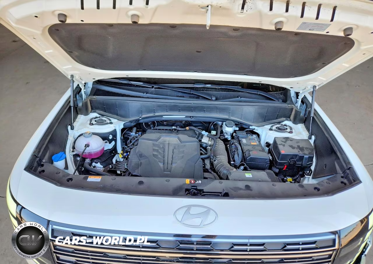 2026 Hyundai Palisade Calligraphy VIN:KM8RMES24TU054238 - 12
