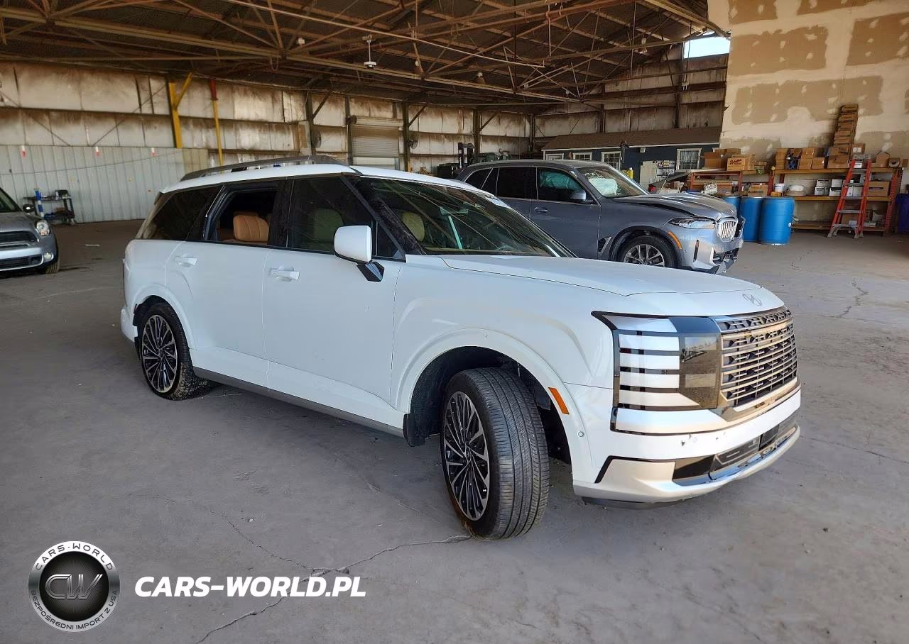 2026 Hyundai Palisade Calligraphy VIN:KM8RMES24TU054238 - 4