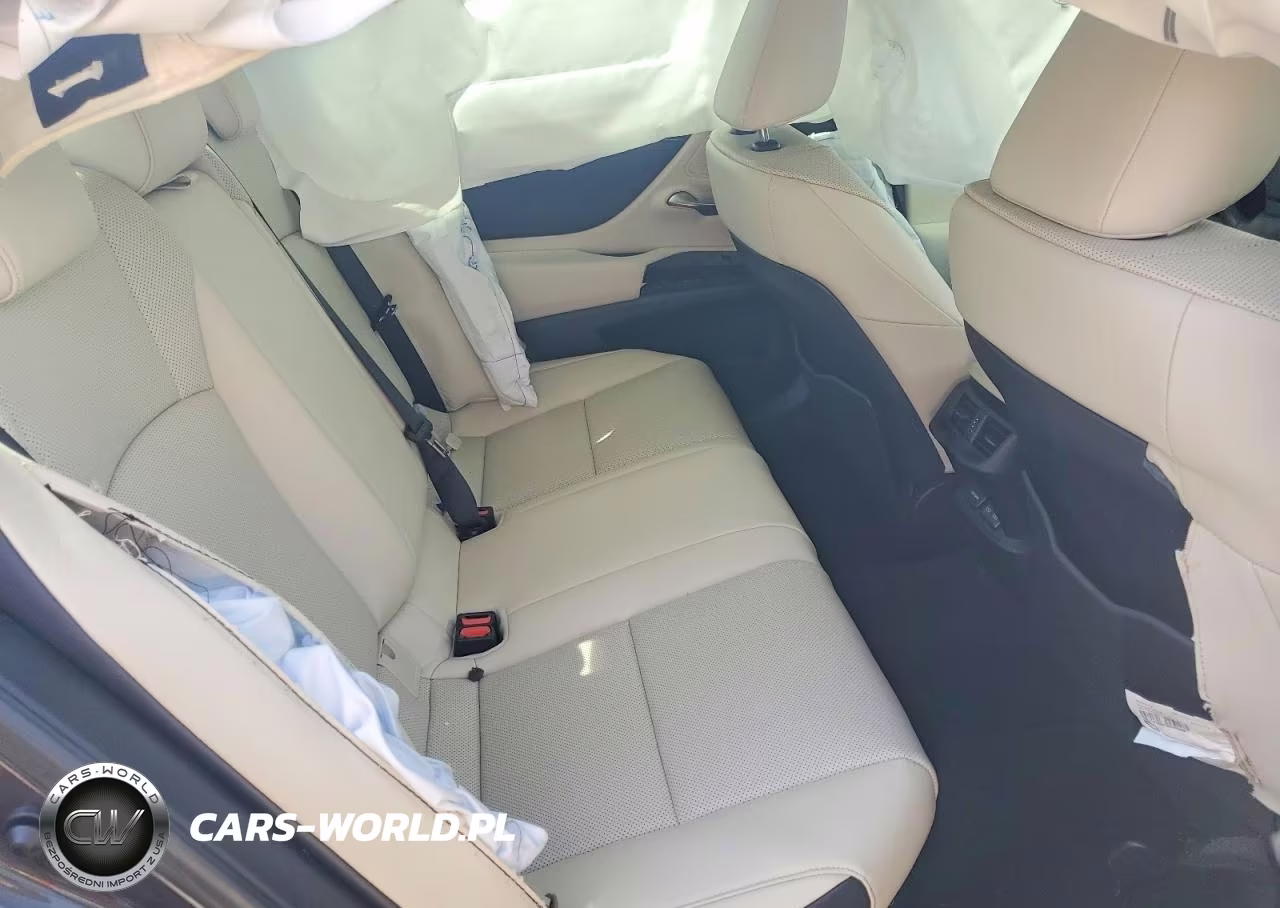 2024 Lexus Es 300H Base VIN:58ADA1C17RU049294 - 10