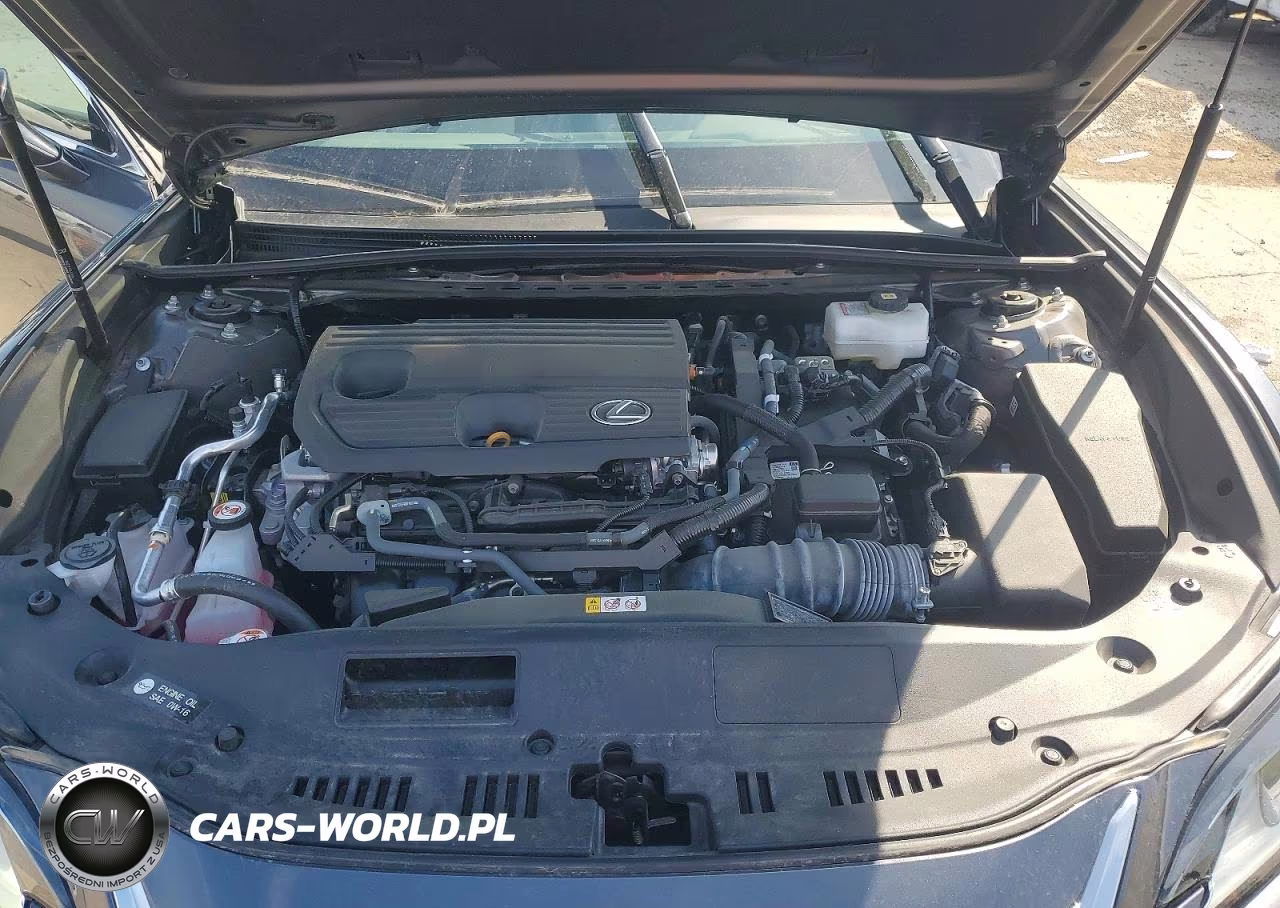 2024 Lexus Es 300H Base VIN:58ADA1C17RU049294 - 11