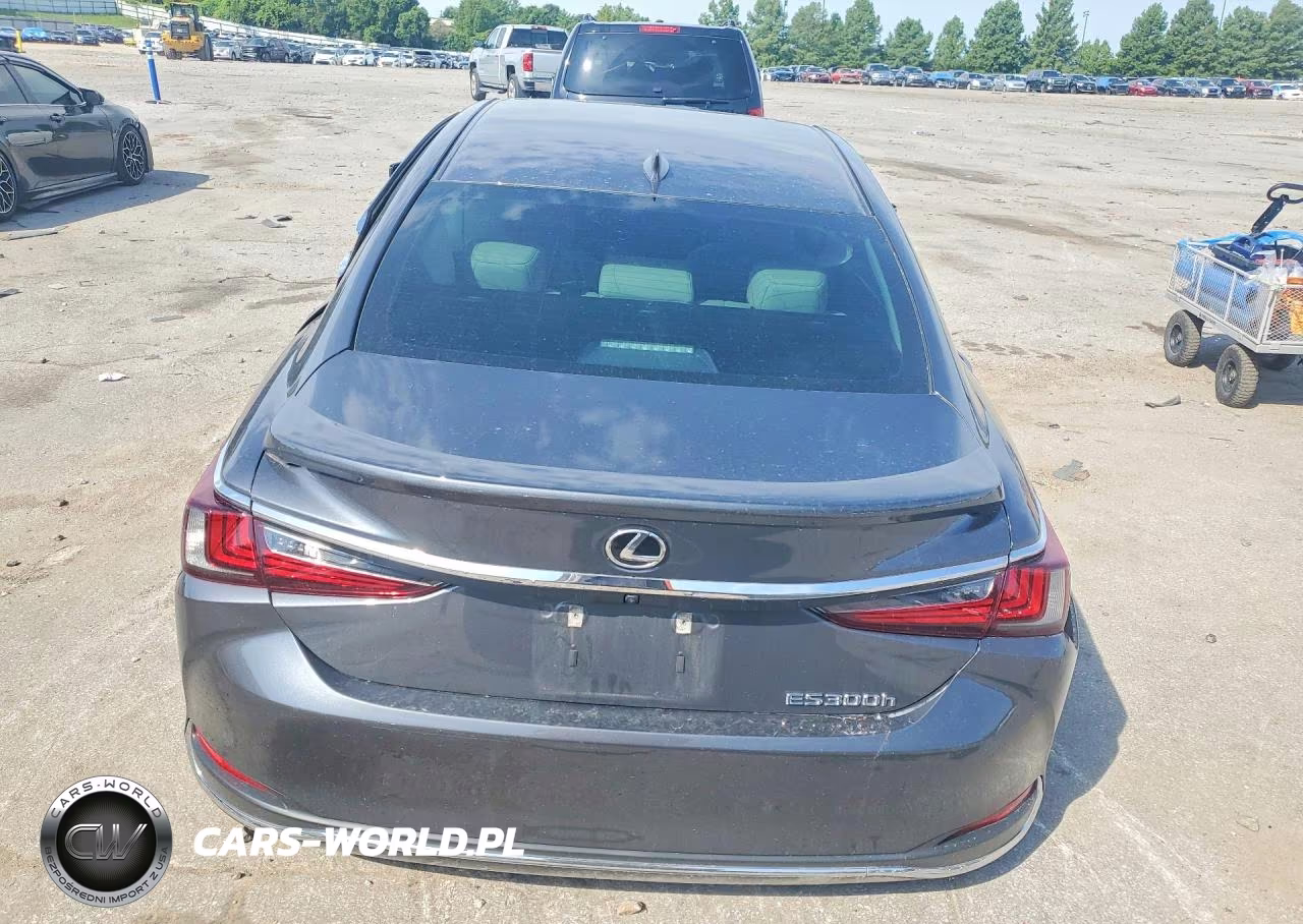 2024 Lexus Es 300H Base VIN:58ADA1C17RU049294 - 6