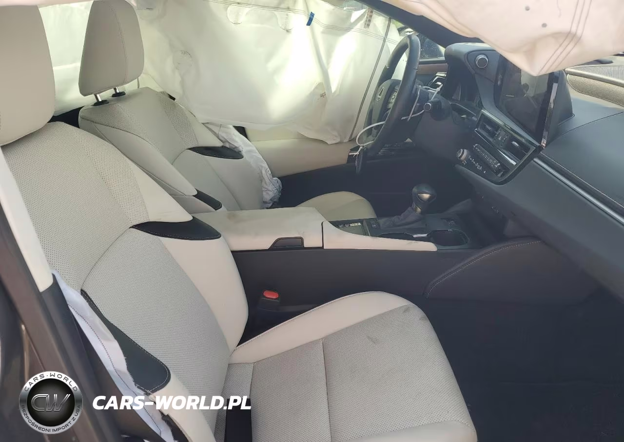 2024 Lexus Es 300H Base VIN:58ADA1C17RU049294 - 7