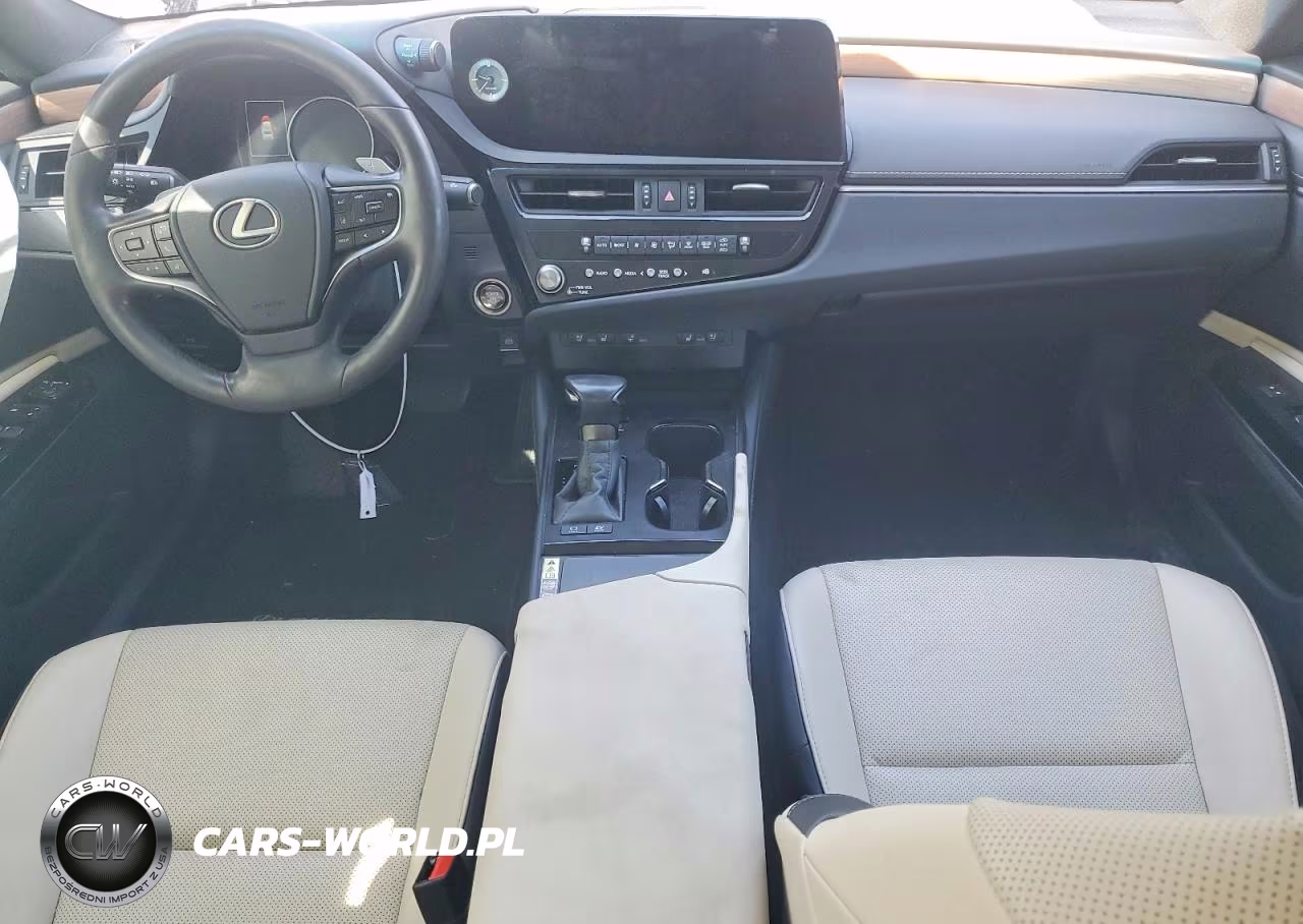 2024 Lexus Es 300H Base VIN:58ADA1C17RU049294 - 8