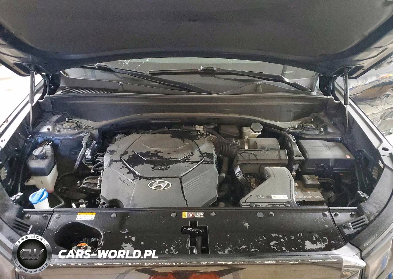 2024 Hyundai Palisade Sel Premium VIN:KM8R44GE3RU753740 - 12