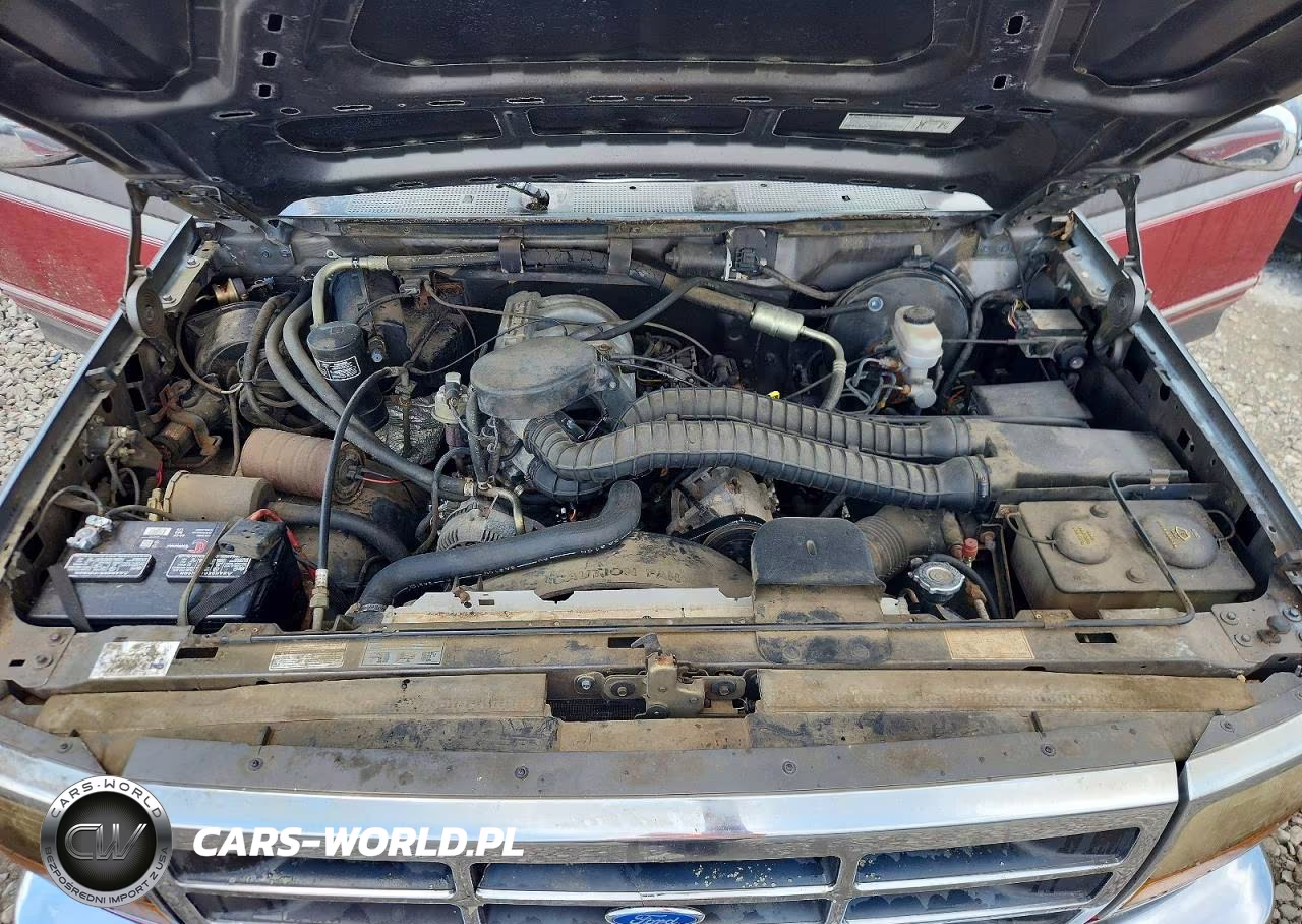 1993 Ford F150 VIN:1FTEX15NXPKB03937 - 11