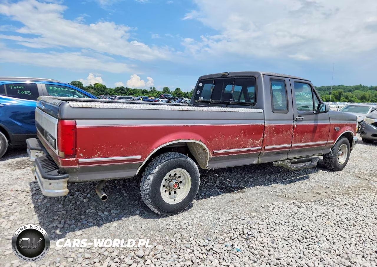 1993 Ford F150 VIN:1FTEX15NXPKB03937 - 3