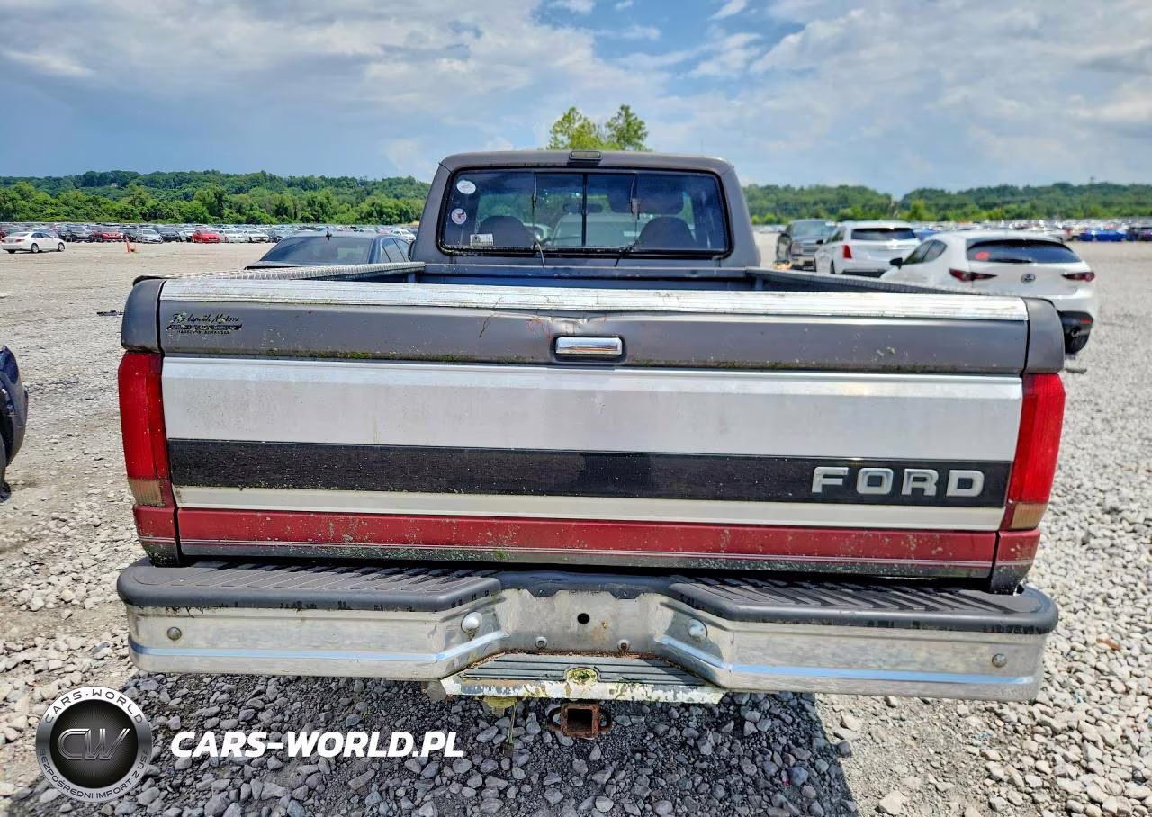 1993 Ford F150 VIN:1FTEX15NXPKB03937 - 6
