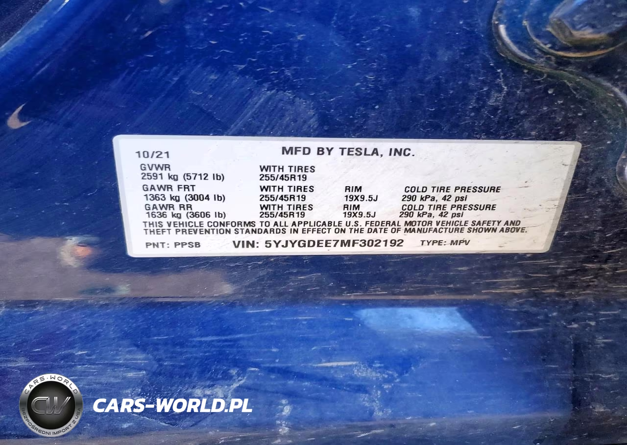 2021 Tesla Model Y VIN:5YJYGDEE7MF302192 - 12