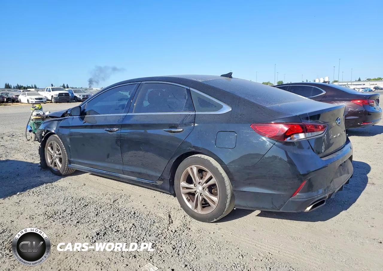 2019 Hyundai Sonata Sport VIN:5NPE34AFXKH796236 - 2