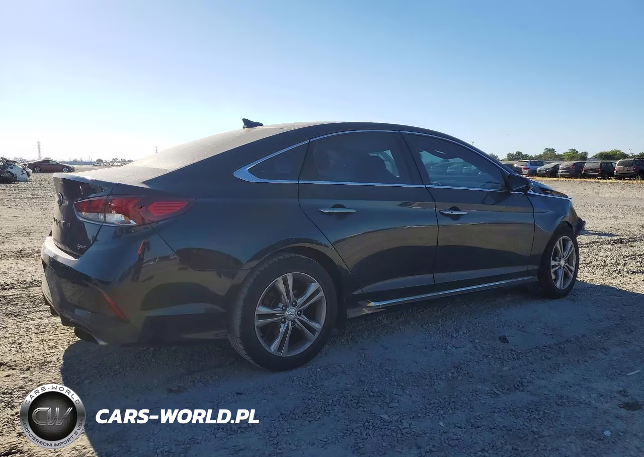 2019 Hyundai Sonata Sport VIN:5NPE34AFXKH796236 - 3