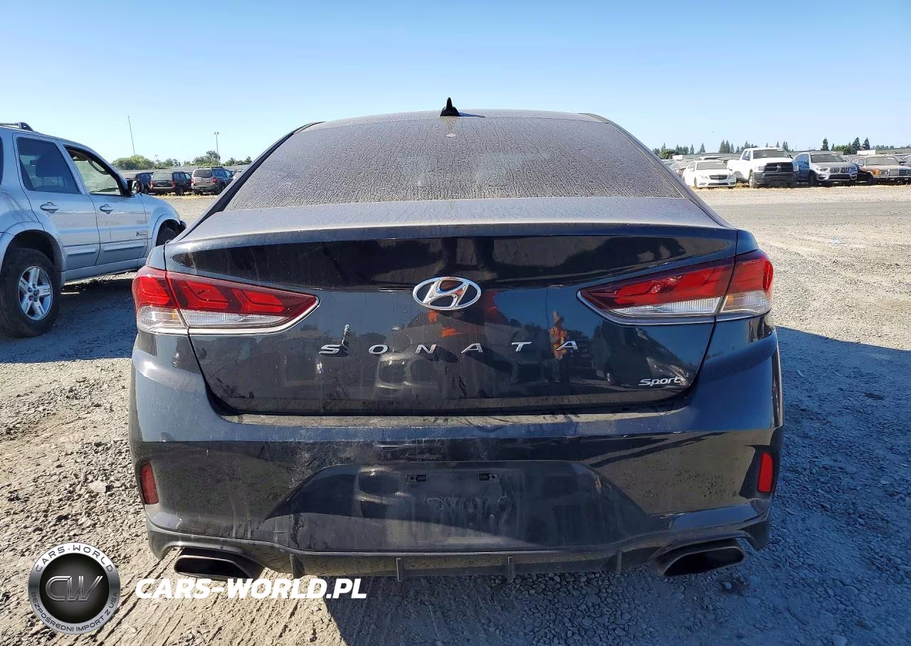 2019 Hyundai Sonata Sport VIN:5NPE34AFXKH796236 - 6
