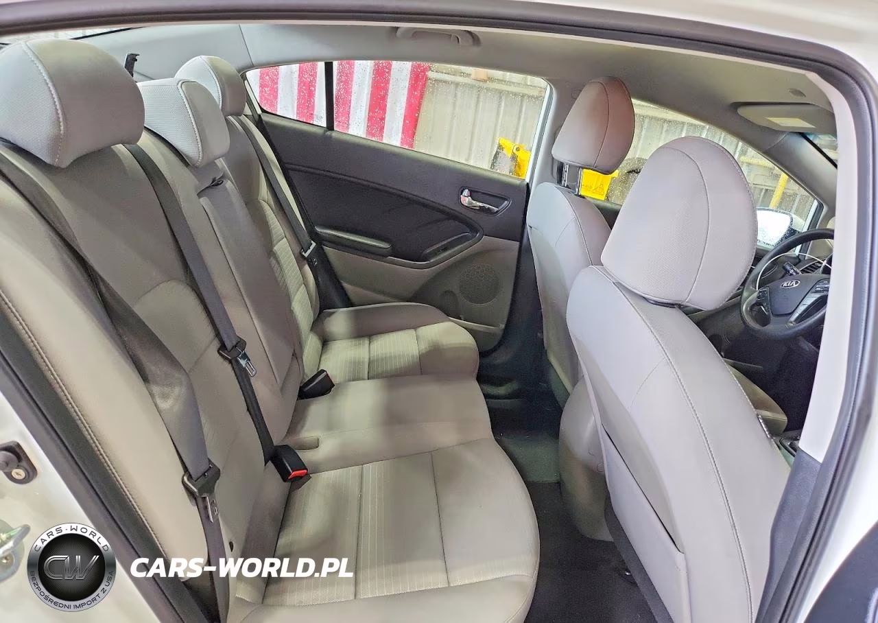 2016 Kia Forte Lx VIN:KNAFX4A65G5607893 - 10