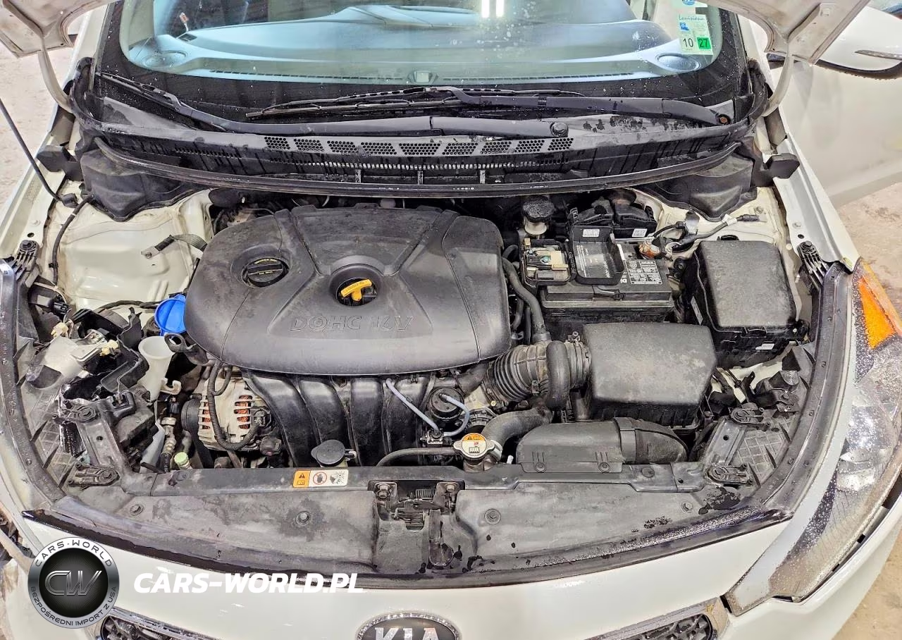 2016 Kia Forte Lx VIN:KNAFX4A65G5607893 - 11