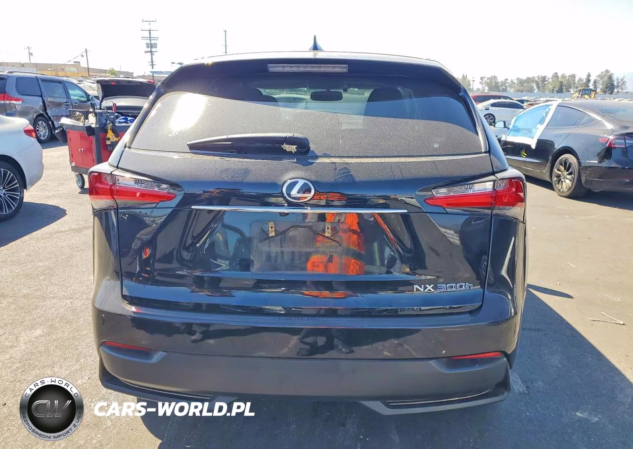 2015 Lexus Nx 300H VIN:JTJYWRBZ6F2008356 - 6