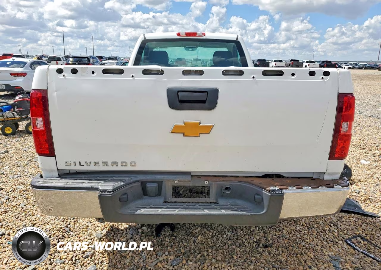 2012 Chevrolet Silverado C1500 VIN:1GCNCPEX8CZ130149 - 6