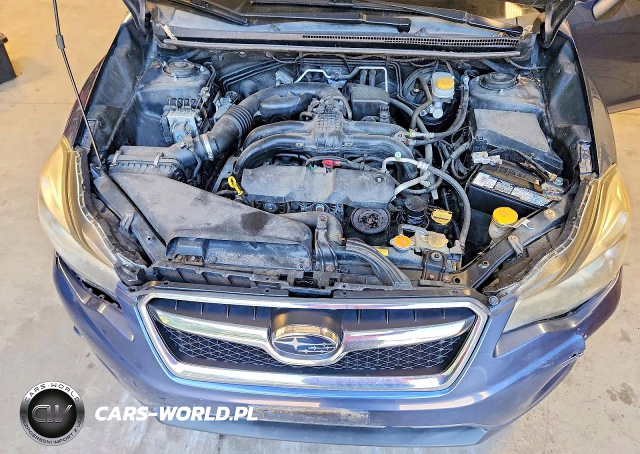 2013 Subaru Xv Crosstrek 2.0 Premium VIN:JF2GPAVC1D2807013 - 12