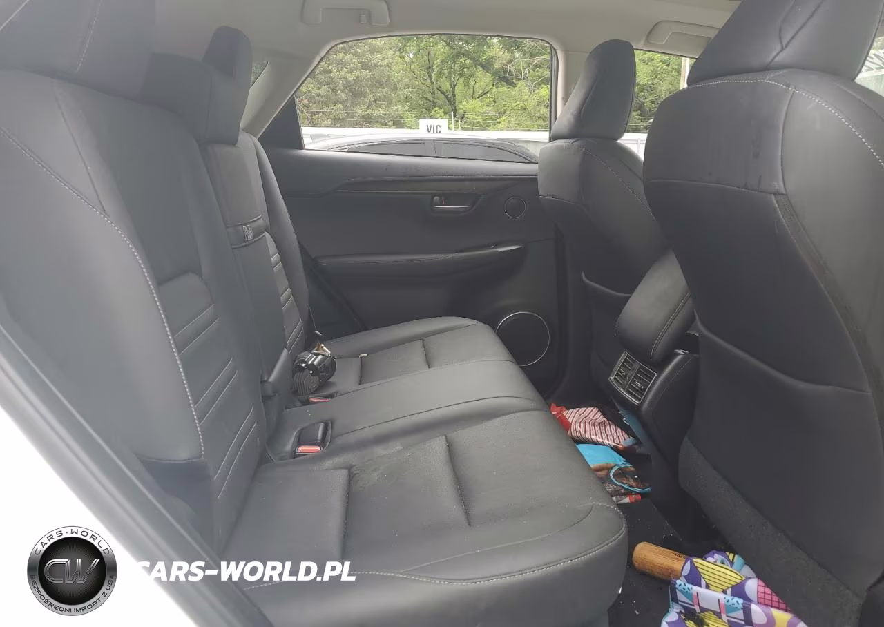 2020 Lexus Nx 300 Base VIN:JTJGARDZ7L5003815 - 11