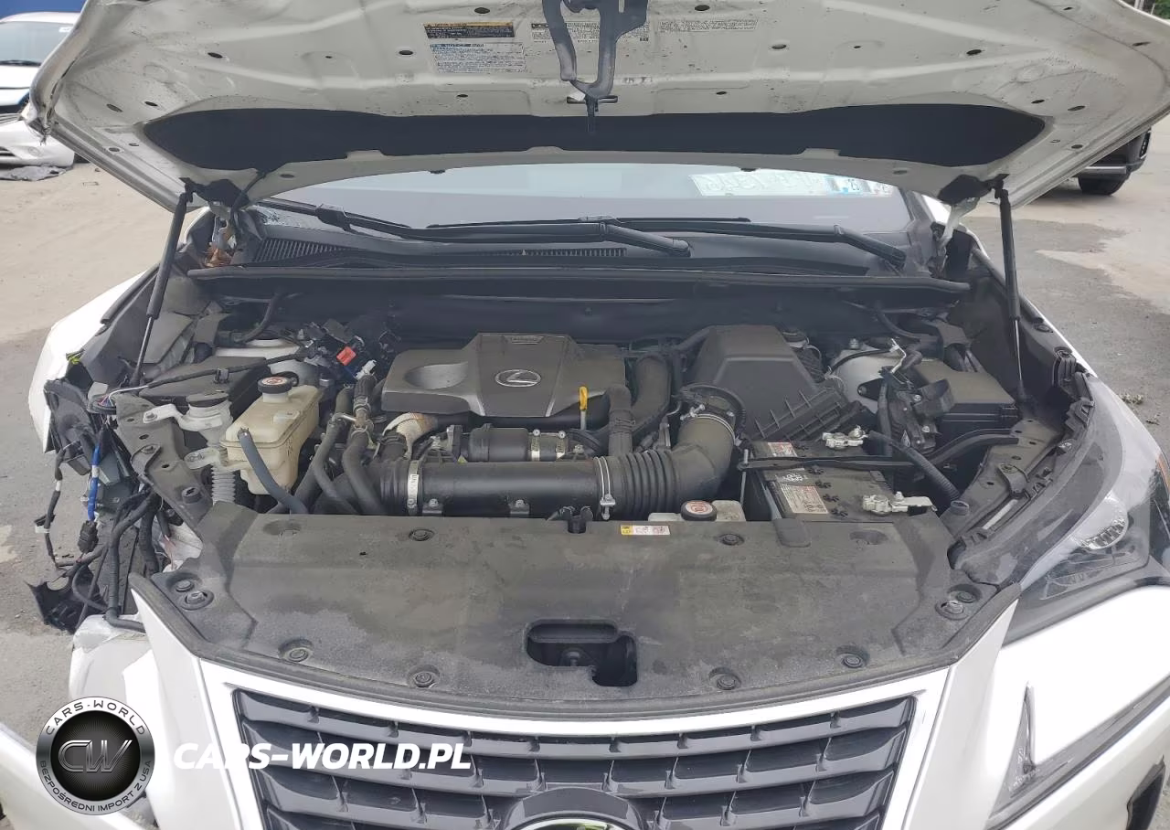 2020 Lexus Nx 300 Base VIN:JTJGARDZ7L5003815 - 12