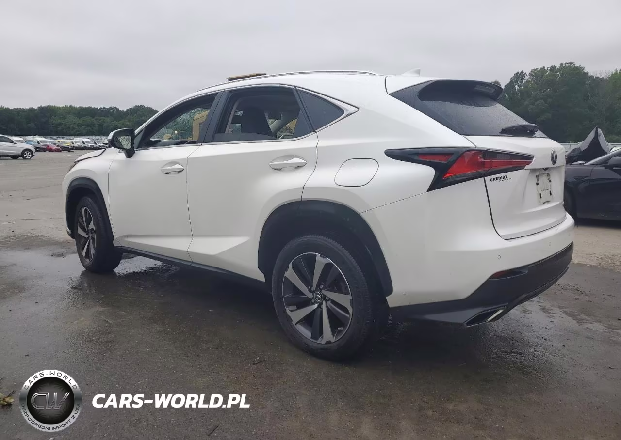 2020 Lexus Nx 300 Base VIN:JTJGARDZ7L5003815 - 2