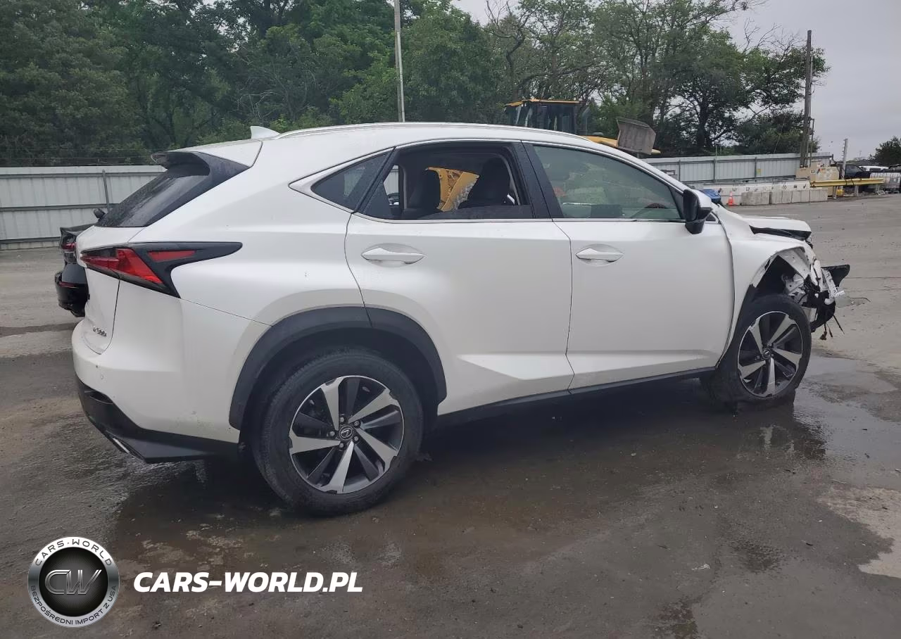 2020 Lexus Nx 300 Base VIN:JTJGARDZ7L5003815 - 3