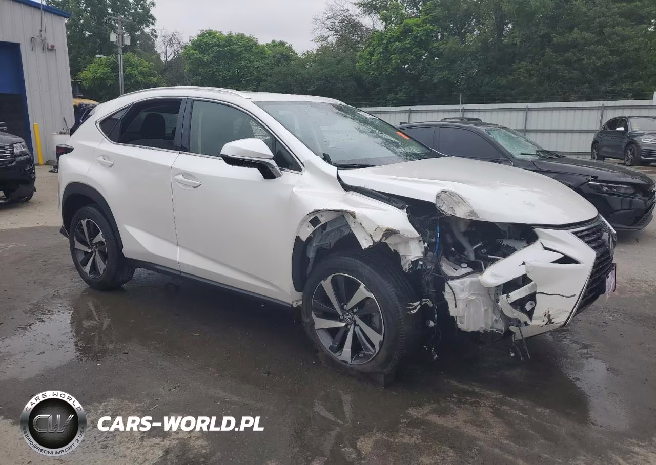 2020 Lexus Nx 300 Base VIN:JTJGARDZ7L5003815 - 4